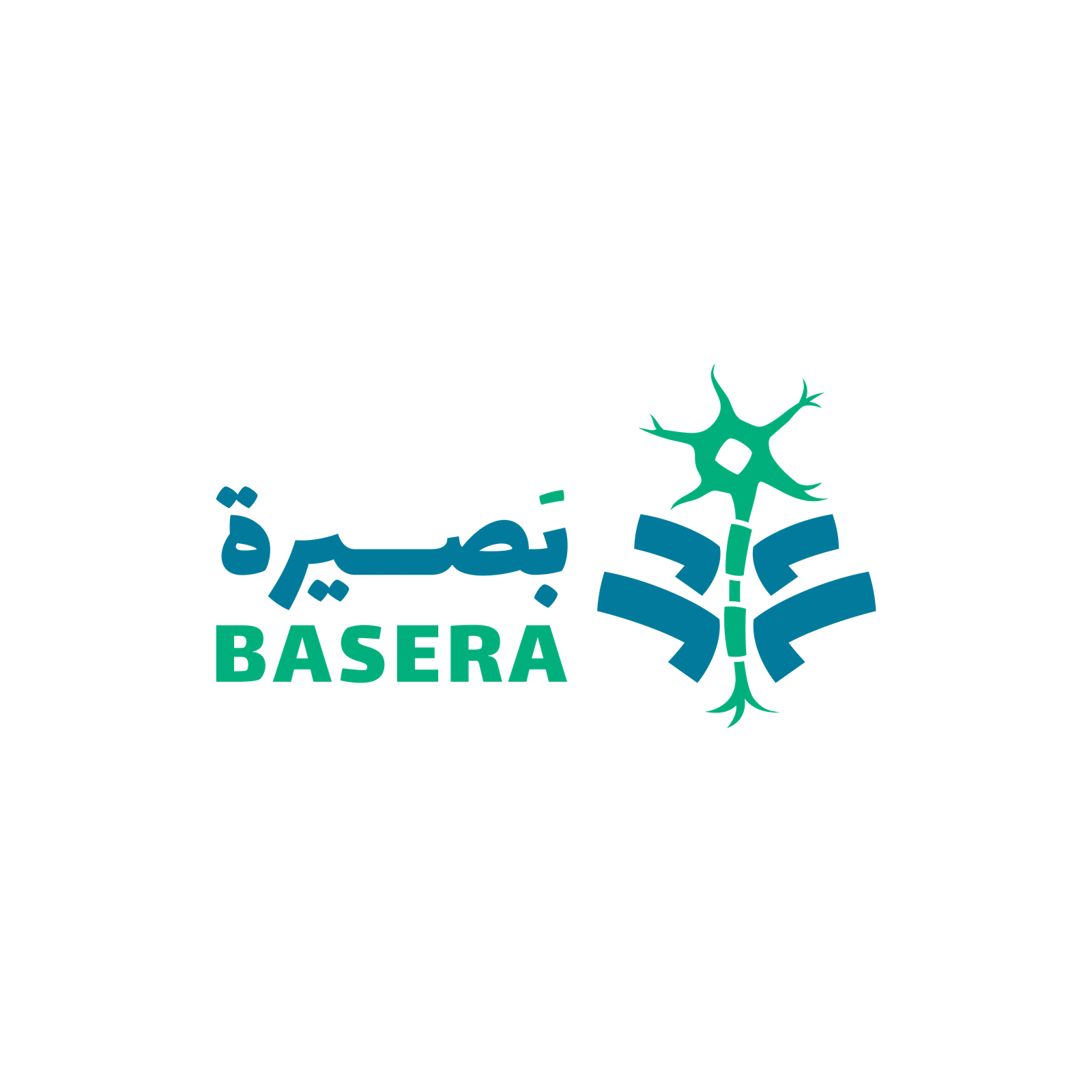 بصيرة